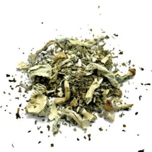 A steaming cup of Psilocybin Peppermint Tea with fresh mint leaves, dried mushrooms, and a calming herbal setup on a wooden table.
