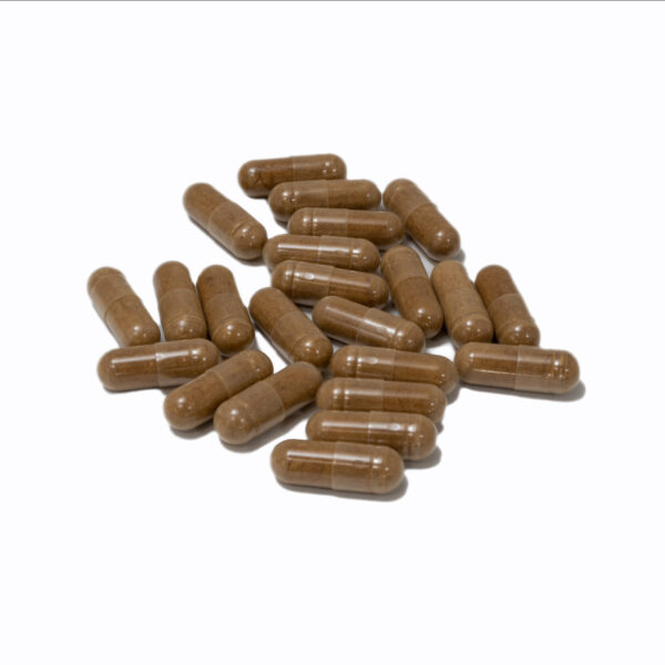 **Alt Text**: *Bottle of Magic Mushroom Micro-Dose Capsules with 14 capsules (4g total) of PENIS ENVY strain, designed for enhanced focus, creativity, and mood elevation*