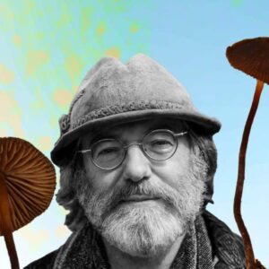 "Psilocybe stametsii, a species of psychedelic mushroom, growing in its natural habitat."