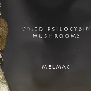 Buy Melmac Dried Magic Mushrooms online. Experience powerful visuals, deep introspection, and one of the most potent psilocybin strains available.