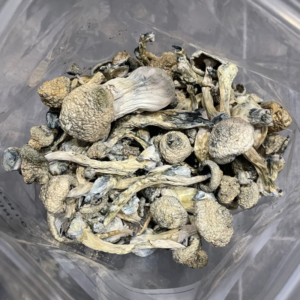 Discover the benefits of buying White Rabbit shrooms, a unique psilocybin mushroom known for its potent effects and transformative experiences. Explore safe purchasing options and elevate your journey today!