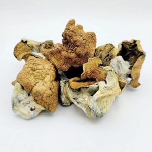 Buy Yeti Magic Mushrooms Online