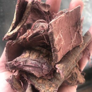 Buy Mexican Mimosa Root Bark