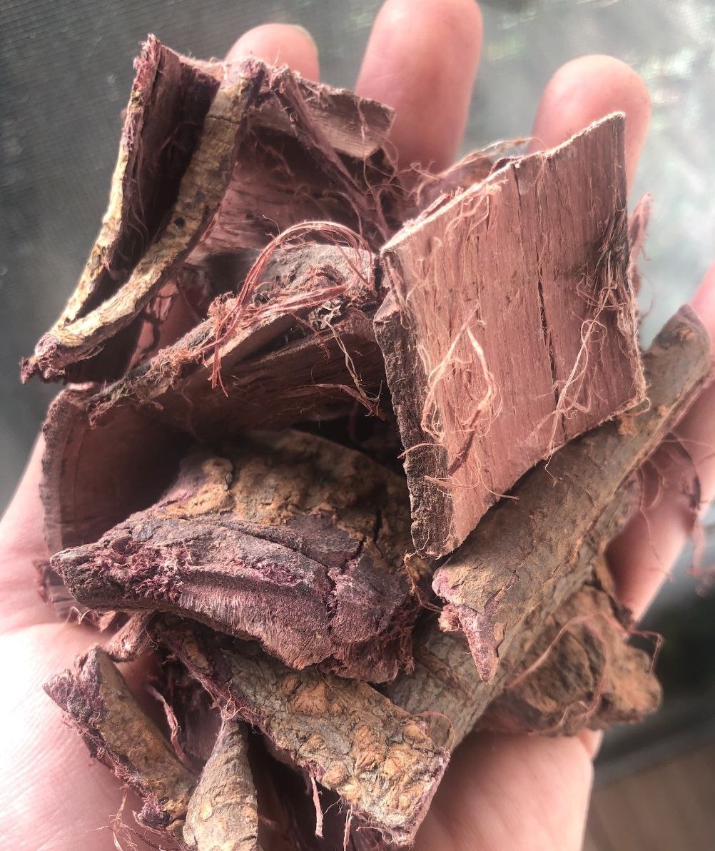 Buy Mexican Mimosa Root Bark