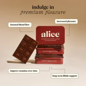 Alice Mushroom Chocolates—delicious, functional treats infused with Lion’s Mane, Reishi, and Cordyceps to support focus, energy, and overall wellness naturally