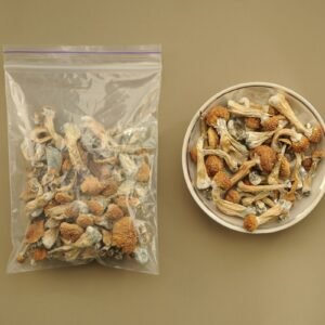 Golden Teacher Shrooms
