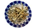 Treasure Coast mushrooms