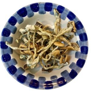 Treasure Coast mushrooms