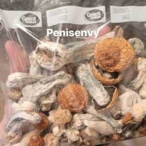 dried penis envy mushroom